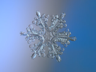 Snowflake on smooth gradient background. Macro photo of real snow crystal: elegant stellar dendrite with complex inner structure, glossy 3D surface, six flat, thin arms and intricate details.