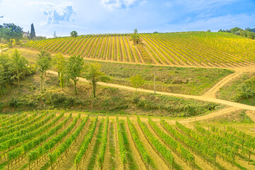 Travel vacation in the vineyard terraces. Panoramic landscape in Montalcino town of Tuscany in...
