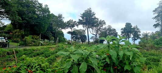 &icirc;le de la r&eacute;union, nature, paysages