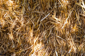 Straw, dry straw texture background, vintage style for design. Shadows on the straw on a sunny day 
