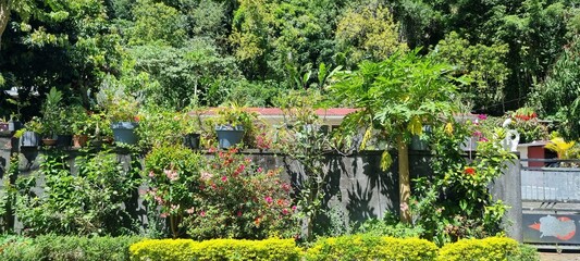 île de la réunion, nature, paysages