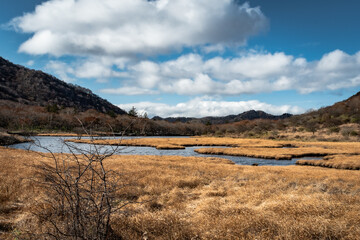 群馬県　覚満淵　11月