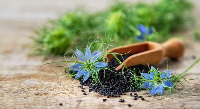 Black cumin seeds and flowers. Selective focus.