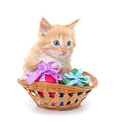 Fototapeta na wymiar Little cat in the basket with a gifts.