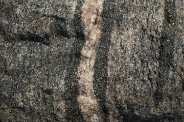 Geology. Close-up of the structure of the stone. Granite.