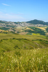 Fototapeta premium Rural landscape on the hills near Imola and Riolo Terme