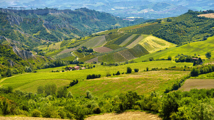 Rural landscape on the hills near Imola and Riolo Terme © Claudio Colombo