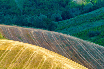 Rural landscape on the hills near  Riolo Terme and Brisighella