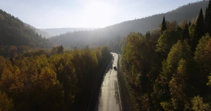 One gray silver crossover SUV car driving alone road trip, travel on freeway through dense colorful forest corridor at autumn sunny sunset - Aerial drone wide view