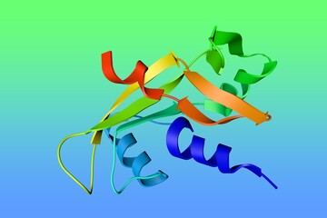 Crystal structure of human angiogenin or ribonuclease 5, a potent stimulator of new blood vessels through the process of angiogenesis. Rainbow coloring from N to C.  3d illustration