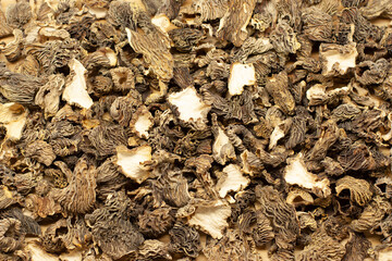 Many dried Verpa bohemica mushrooms lie on the table, laid out in a thin layer. The first spring mushrooms are ready for use for cooking. High quality photo