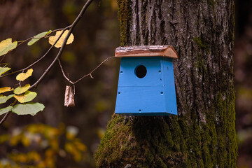 a beautiful bird house in a tree in the park