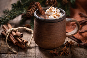 Cup of hot chocolate with marshmallows and cinnamon