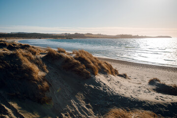 Beautiful sand beach with yellow grass and cold sea in Norway. Strong wind on the beach