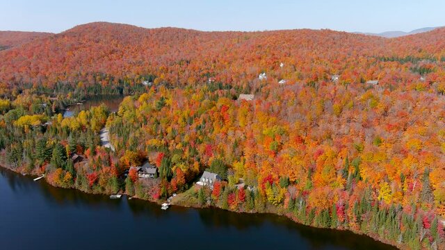 Aerial view of fall season foliage colors and lake houses.