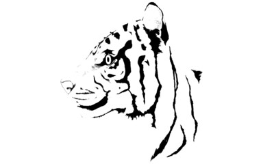 虎の横顔の線画、手描きリアルタッチ