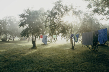 Sunrise in the countryside