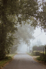 Obraz na płótnie Canvas Road in the mist