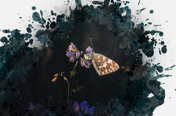 Pollination of flowering wildflowers. A butterfly sits on white-purple flowers in the first-morning sunlight.
