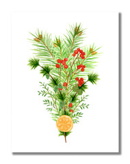 Watercolor Christmas bouquet with pine branches and cones, Larix branches, orange slices, a branch of red berries. Greeting card. Isolated design on a white background.