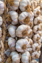fresh garlic on market