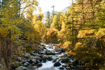 view of an autumn forest landscape crossed by a river in Andorra - obrazy, fototapety, plakaty
