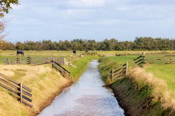 Countryside landscape with flat and low land under blue sky and white clouds, Typical Dutch polder with green meadow, Small canal or ditch and wooden fence, Texel Island, Noord Holland, Netherlands.