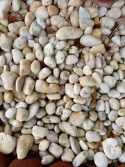  Pebbles in Thailand's river