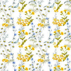 Delicate watercolor pattern with wild meadow flowers. Chicory, tansy, thistle, chamomile. Cute flowers on a white background.