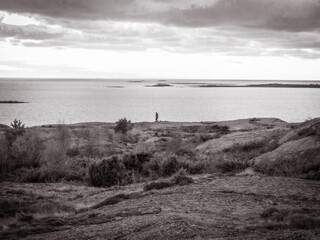 landscape with the ocean