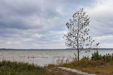 Lake in windy and cloudy weather. Autumn