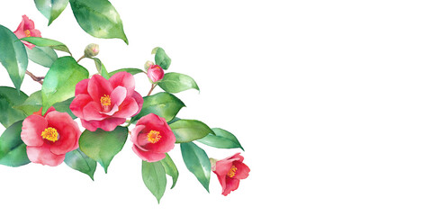 赤い椿の水彩イラスト。アシンメトリーバナー。枝。冬の花。