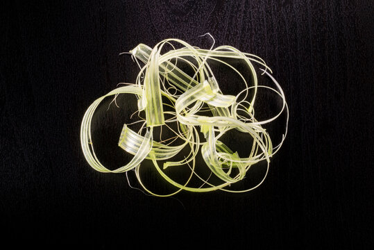 Celery fiber in black backgrand