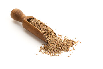 Anise spice seeds in wooden scoop isolated on white background. Copy space