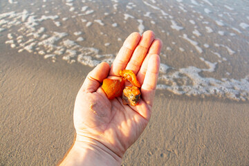 Fototapeta na wymiar Beautiful pieces of amber in the hand of the sea background. A glowing wavy piece of amber in the palm of your hand. The sunstone.