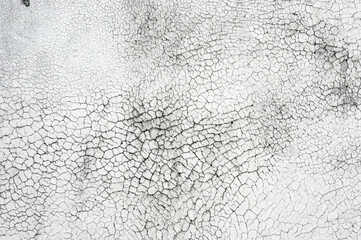 background texture