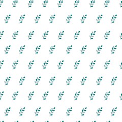 Natural organic foliage, evergreen branches flora