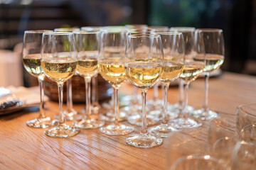 a lot of glasses with white wine in a restaurant at a buffet or banquet for a holiday