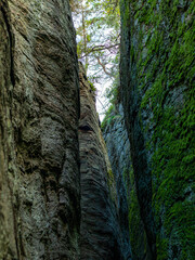 Cliffs in the forest
