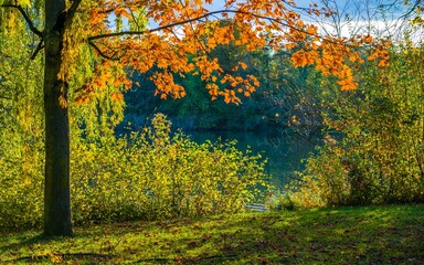 Sunlit autumn landscape at lake