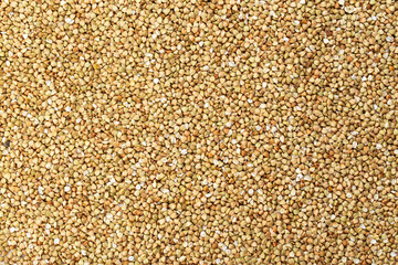 fresh buckwheat. dry buckwheat background. buckwheat texture.