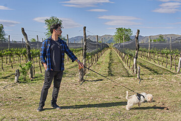 latino brunette boy with his white poodle toy in a guided visit in a vineyard in Cordoba,...