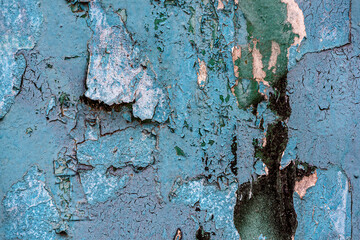 Peeling paint on the wall. Old wall with cracked flaking paint. Weathered rough painted surface with patterns of cracks and peeling. Grunge texture for background and design. High resolution.