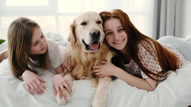Two beautiful sisters lying in the bed, hugging and petting cute golden retriever dog looking at camera with tonque out. Smiling girls staying with pet in bedroom. Friendship between human and doggy