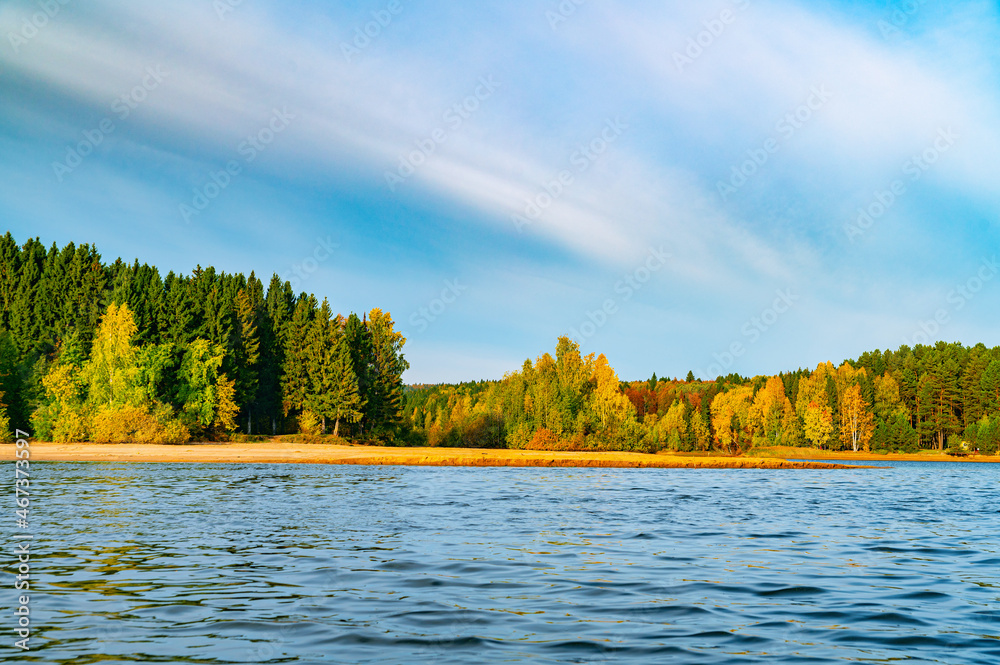 Wall mural panoramic view of the bright colorful trees along the bank of the kama river russia perm krai. autum