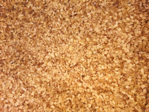 Kerala Palakadan Matta Rice Background. Selective Focus