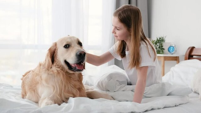 Beautiful preteen little girl sitting in the bed and petting golden retriever dog. Cute smiling kid with pet in the bedroom with panoramic windows. Child and doggy friendship