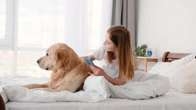 Beautiful preteen little girl sitting in the bed with golden retriever dog and making photos of doggy with smartphone. Cute smiling kid with pet and cell phone. Child and technologies