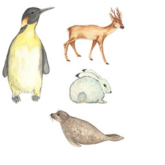 Watercolor illustration.Animals set: white hare, roe deer, penguin, seal