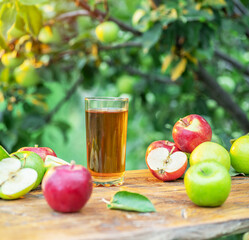 Fresh apple juice and apples on wooden table in the summer orchard garden.
